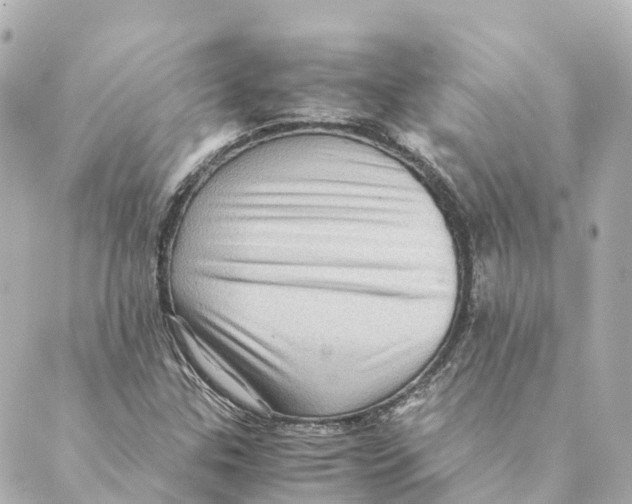 X0000088601307200706221356