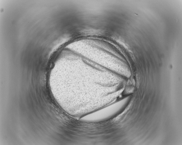 X0000088601309200706221356