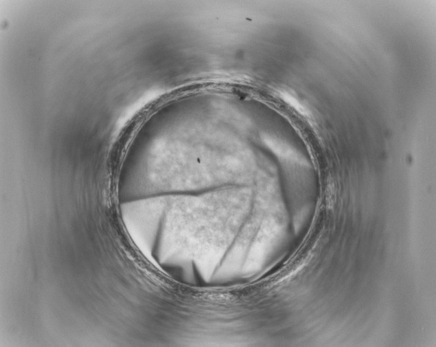 X0000088601310200706221356