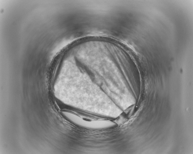 X0000088601311200706221356