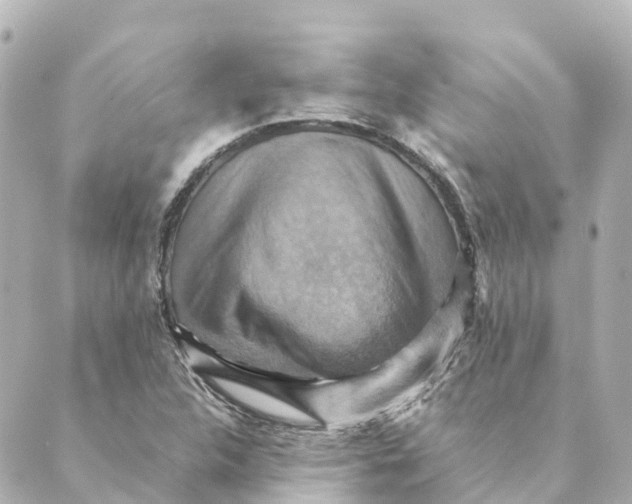 X0000088601312200706221356