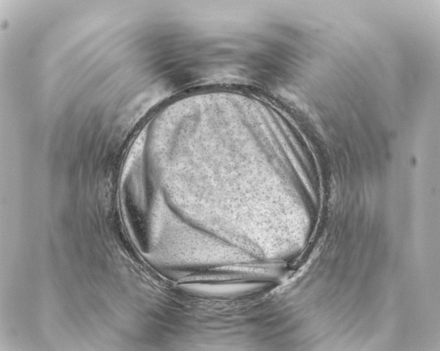 X0000088601313200706221356