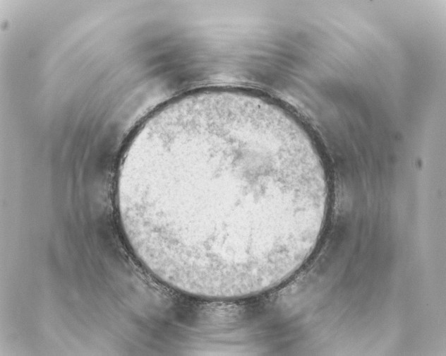 X0000088601314200706221356