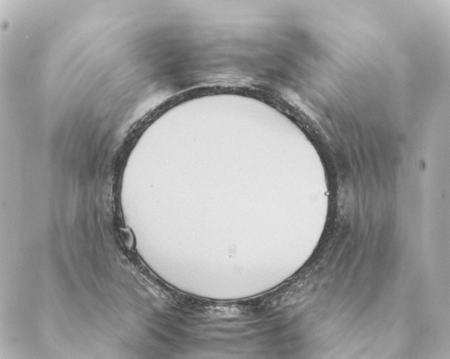 X0000088601315200706221356