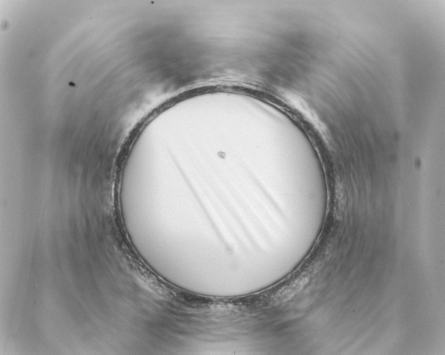 X0000088601316200706221356