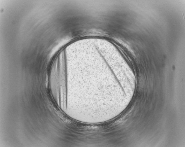 X0000088601317200706221356