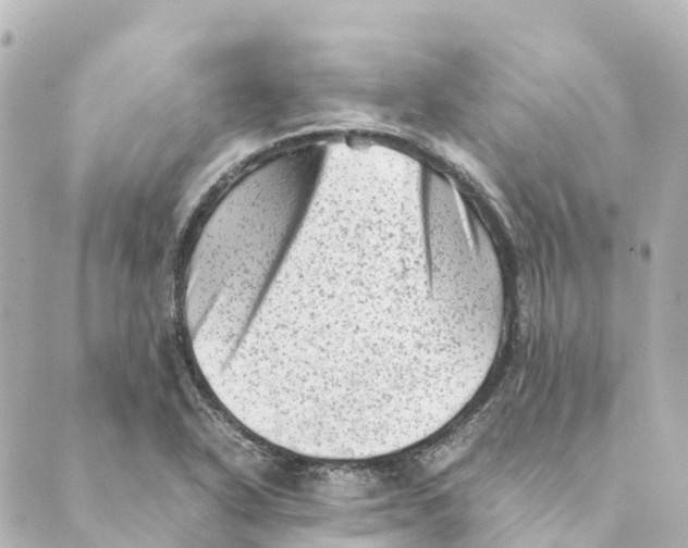 X0000088601318200706221356