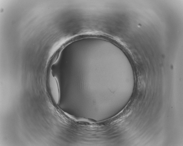 X0000088601319200706221356