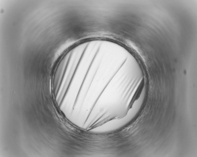 X0000088601320200706221356