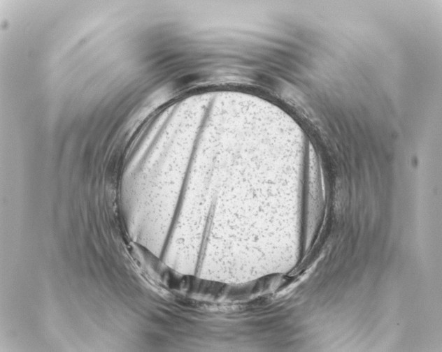 X0000088601321200706221356