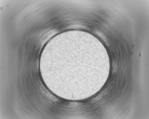 X0000088601322200706221356