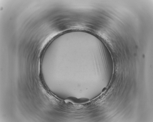 X0000088601323200706221356