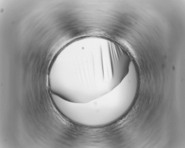 X0000088601324200706221356