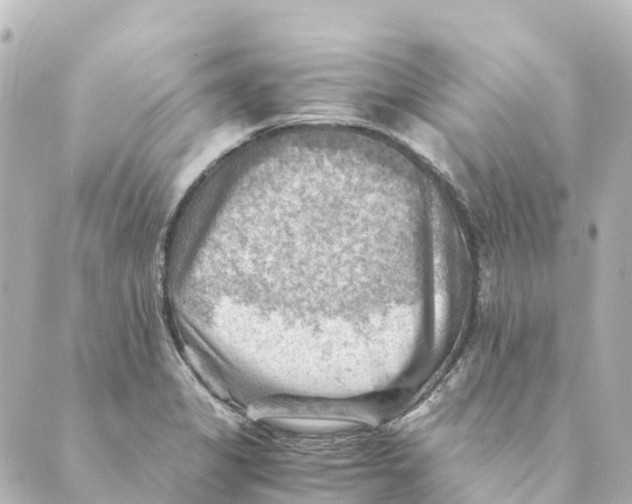 X0000088601325200706221356