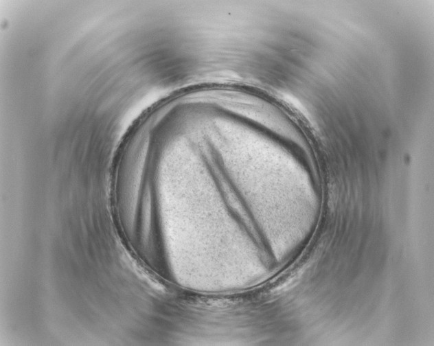 X0000088601326200706221356