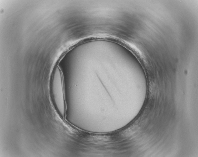 X0000088601327200706221356