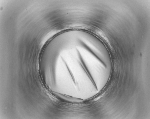 X0000088601328200706221356