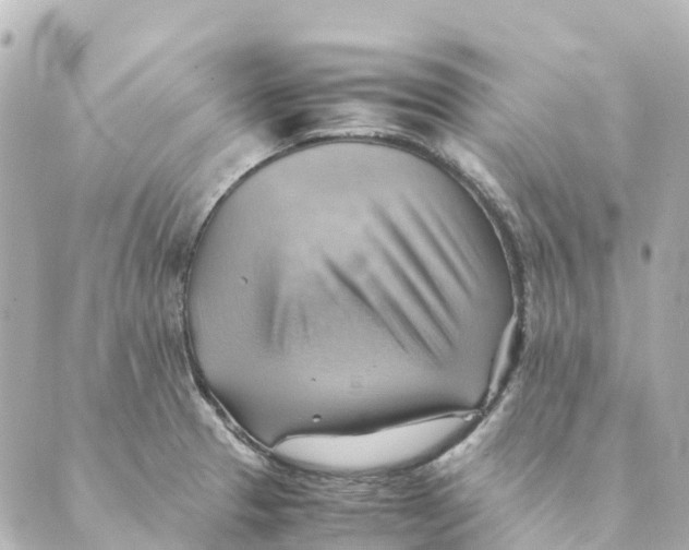 X0000088601329200706221356