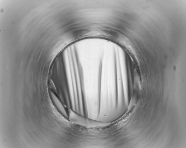 X0000088601330200706221356