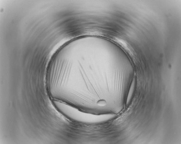 X0000088601331200706221356