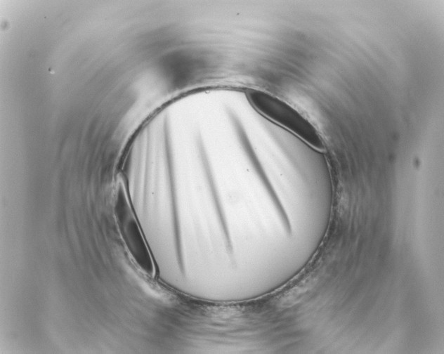 X0000088601332200706221356