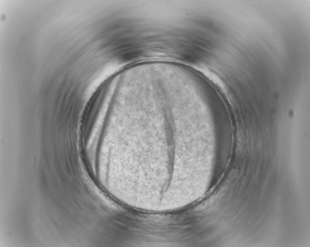 X0000088601333200706221356