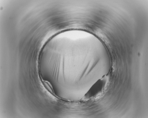 X0000088601334200706221356