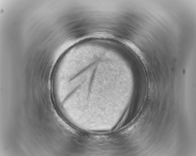 X0000088601335200706221356