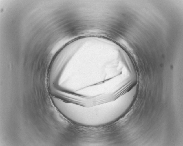 X0000088601336200706221356