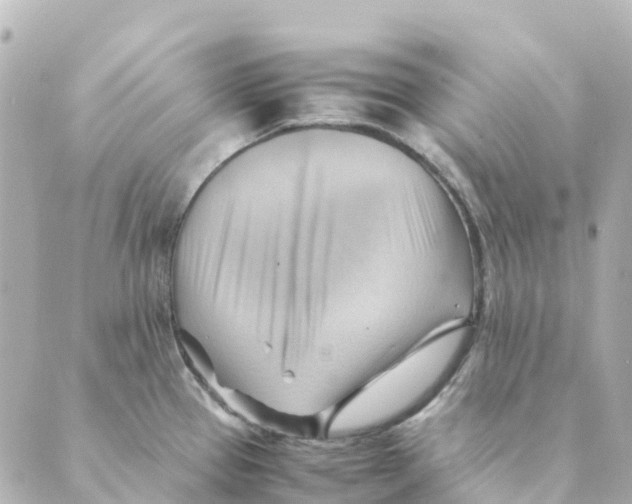 X0000088601337200706221356