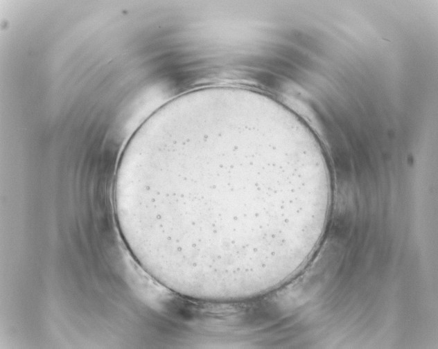 X0000088601338200706221356