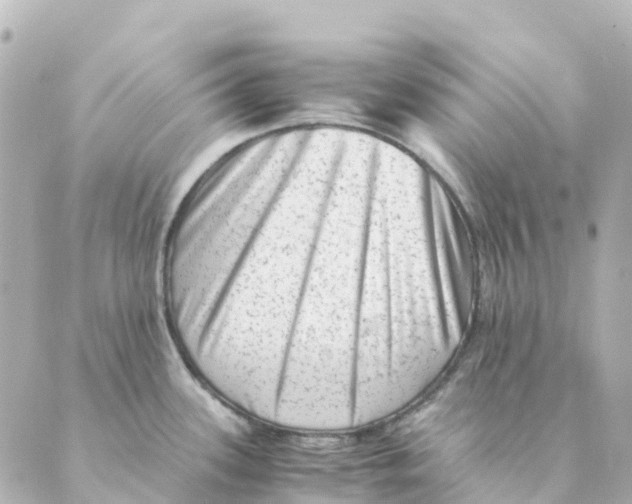 X0000088601339200706221356