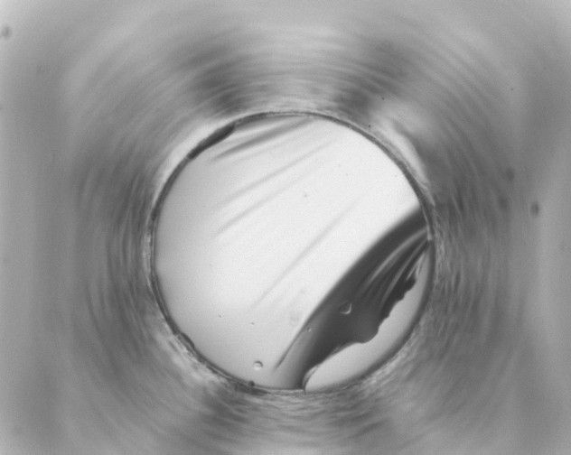 X0000088601340200706221356