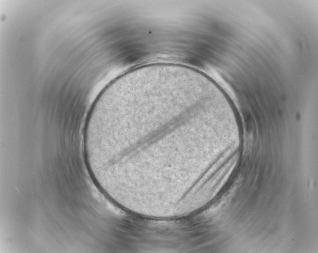 X0000088601341200706221356