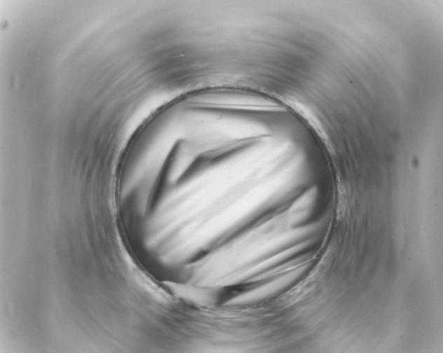 X0000088601342200706221356