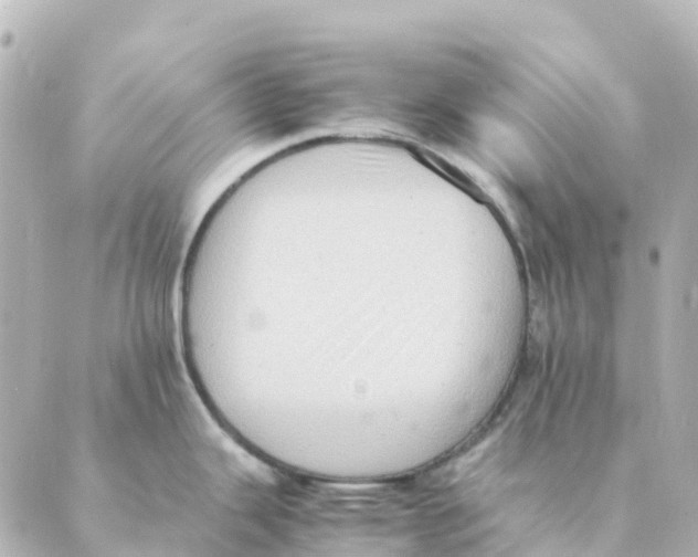 X0000088601343200706221356