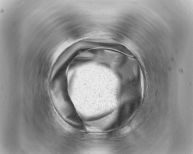 X0000088601344200706221356