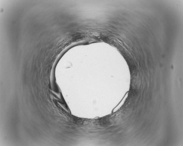 X0000088601345200706221356