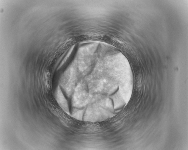 X0000088601346200706221356