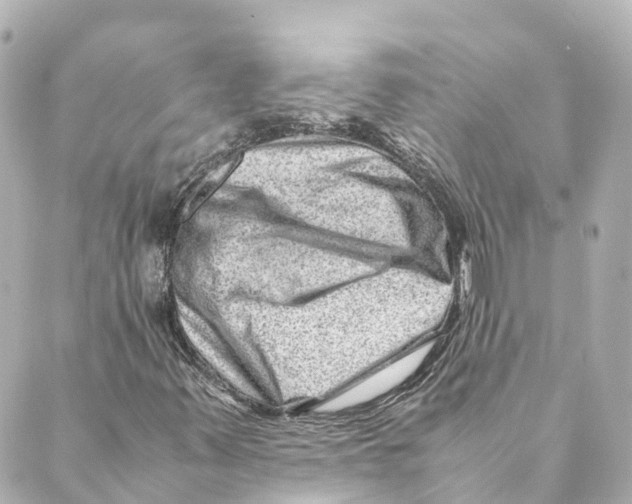 X0000088601347200706221355