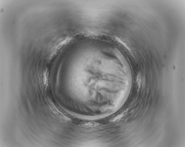 X0000088601348200706221355