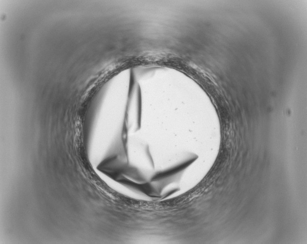 X0000088601349200706221355