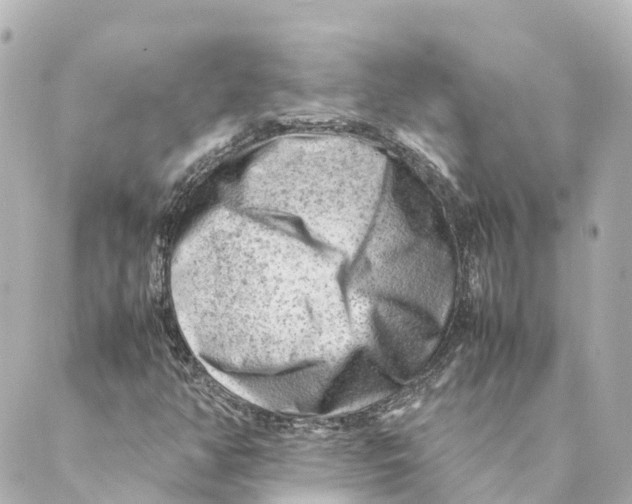 X0000088601350200706221355