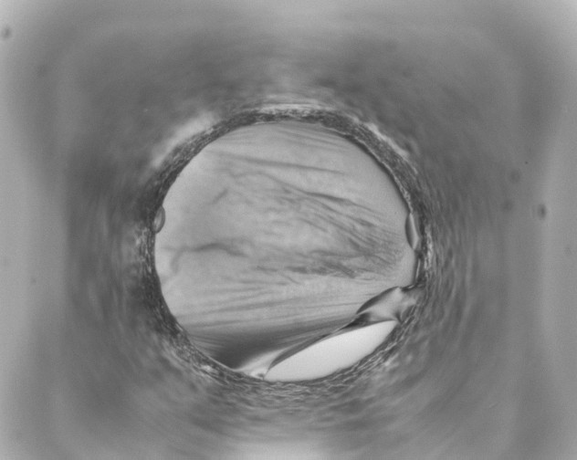 X0000088601351200706221355