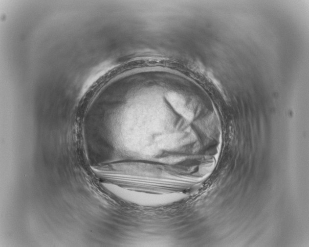 X0000088601352200706221355