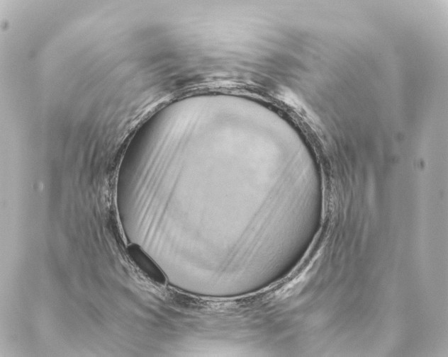 X0000088601353200706221355