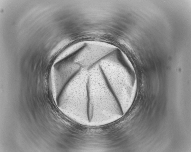 X0000088601354200706221355