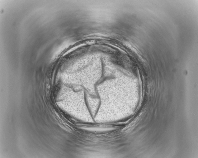 X0000088601355200706221355