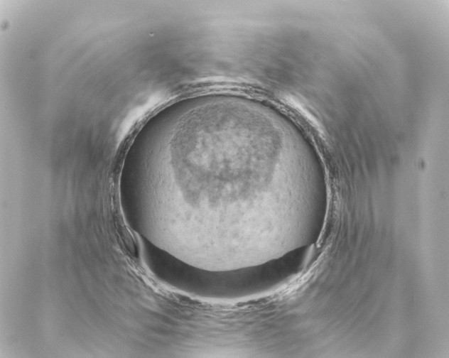 X0000088601357200706221355