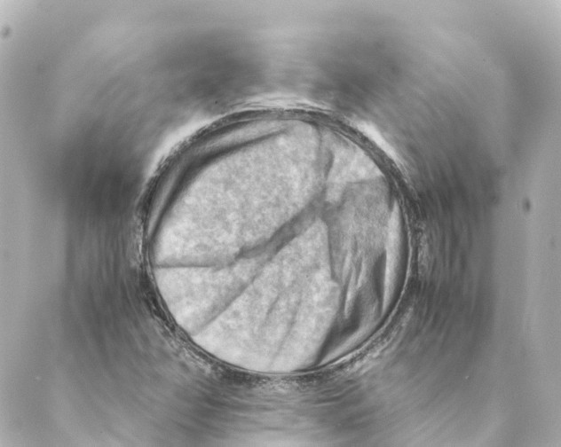 X0000088601358200706221355